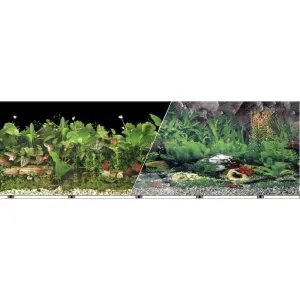 Background Double-sided Tropical Freshwater