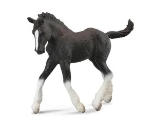 Black Shire Foal