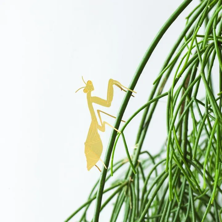 Brass Plant Accessory: Praying Mantis