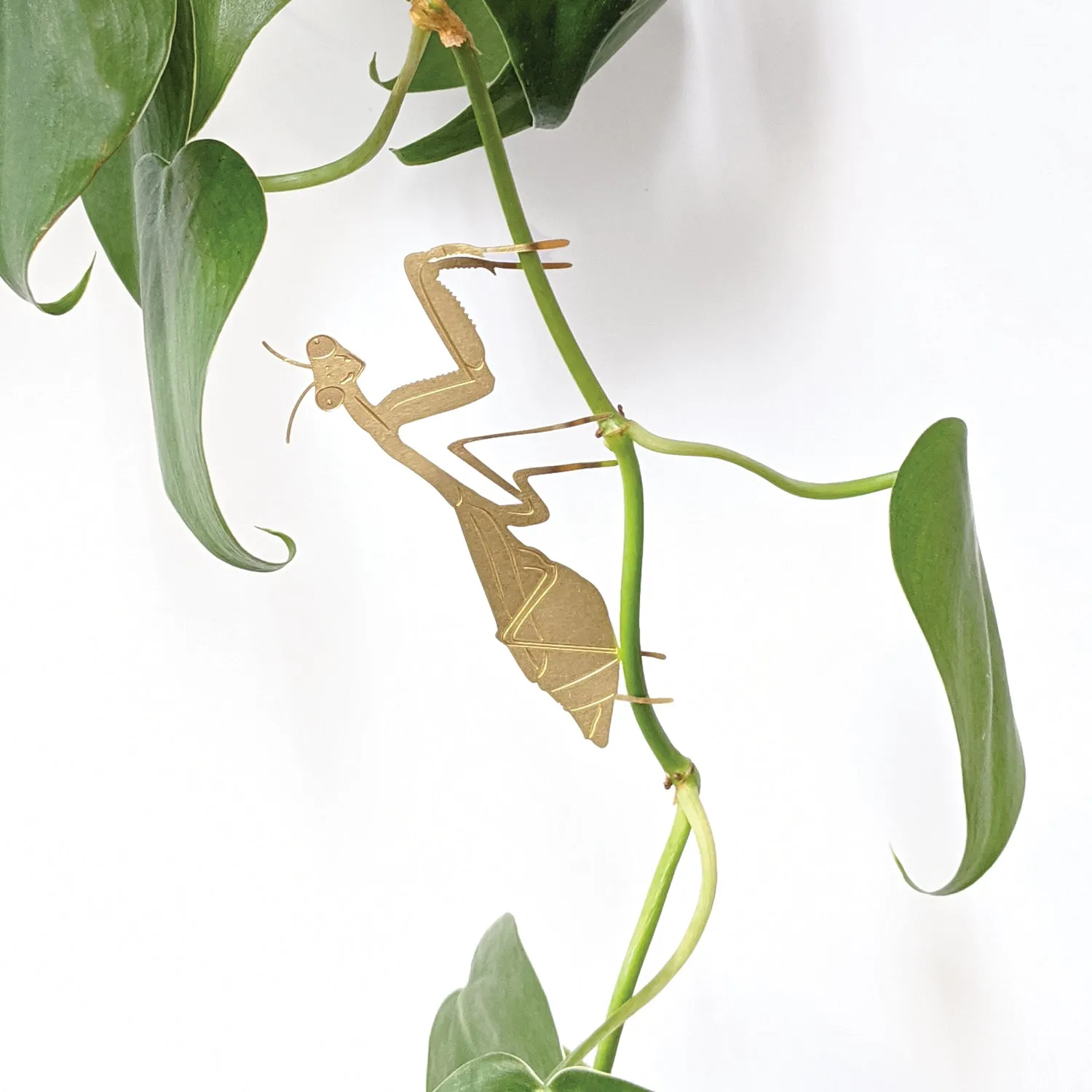 Brass Plant Accessory: Praying Mantis