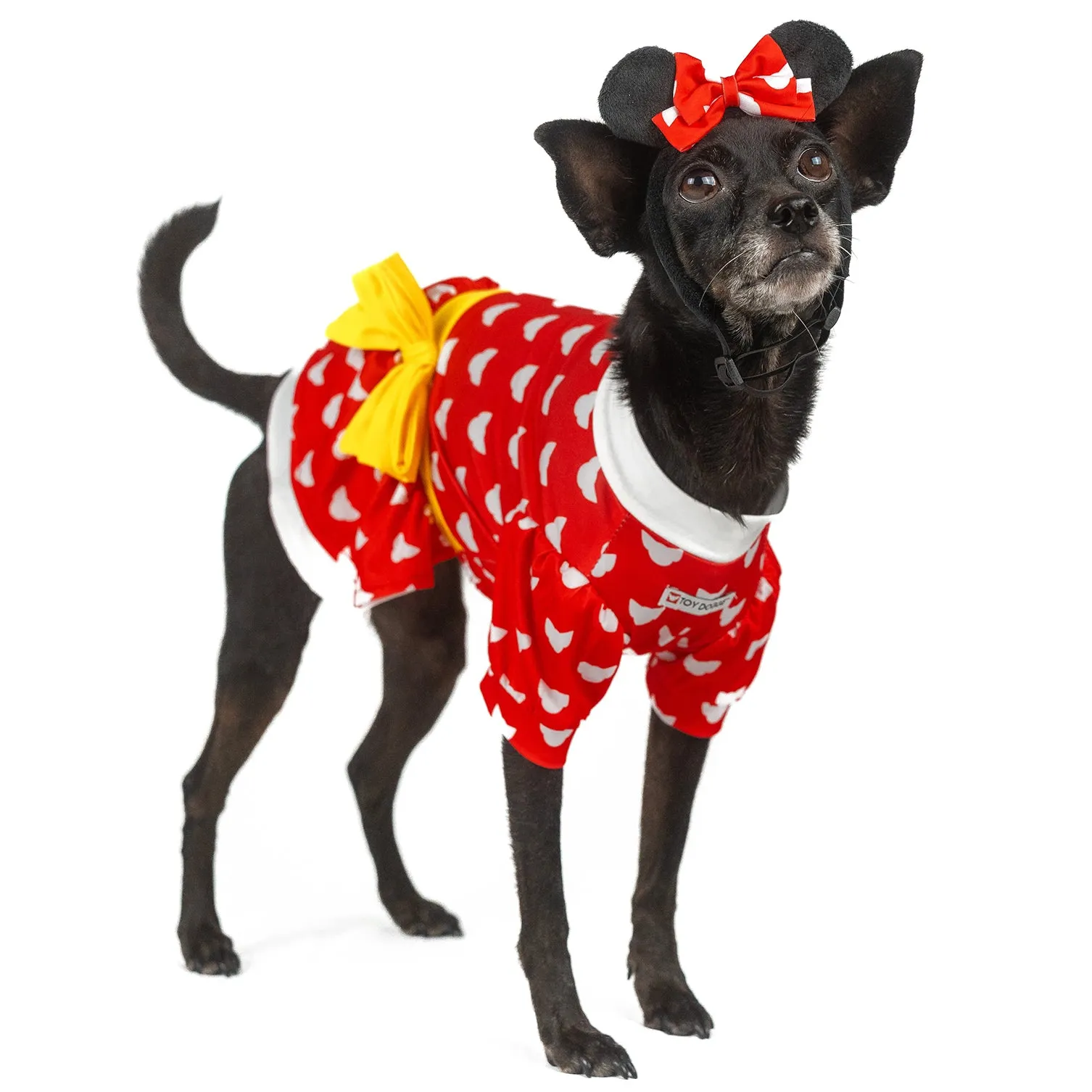 Doggie Mouse | Halloween Pet Costume