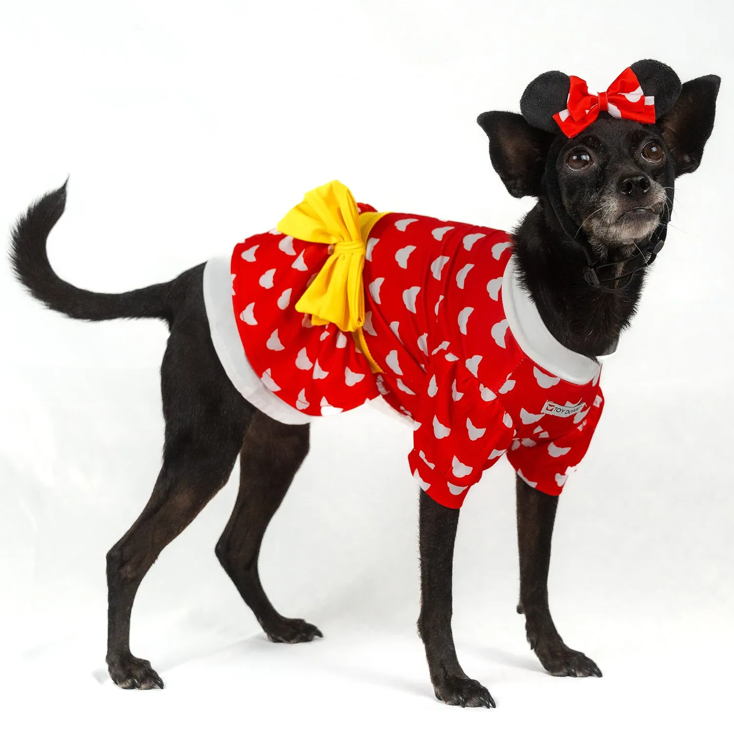 Doggie Mouse | Halloween Pet Costume