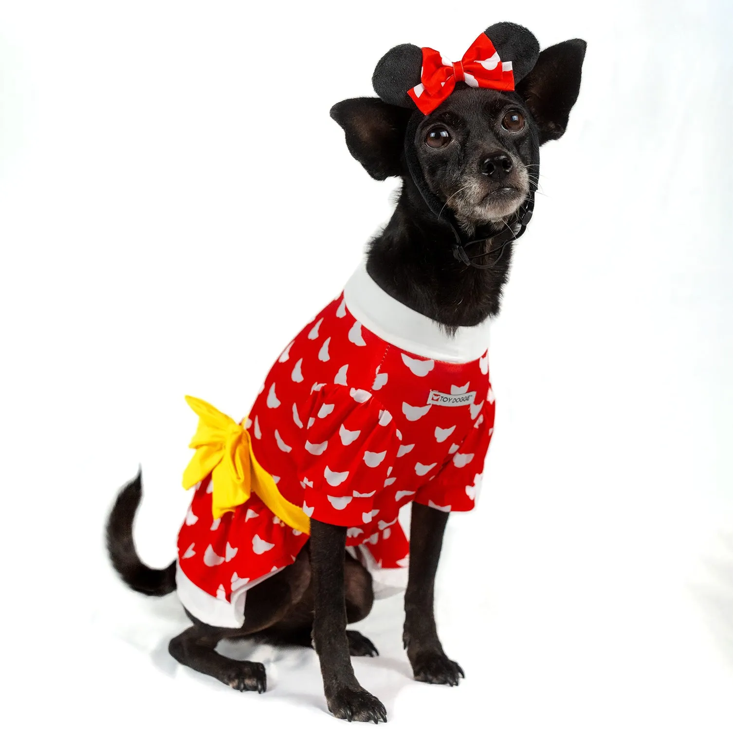 Doggie Mouse | Halloween Pet Costume