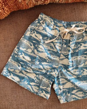 Mens's Boardshorts  - Summer School Sea