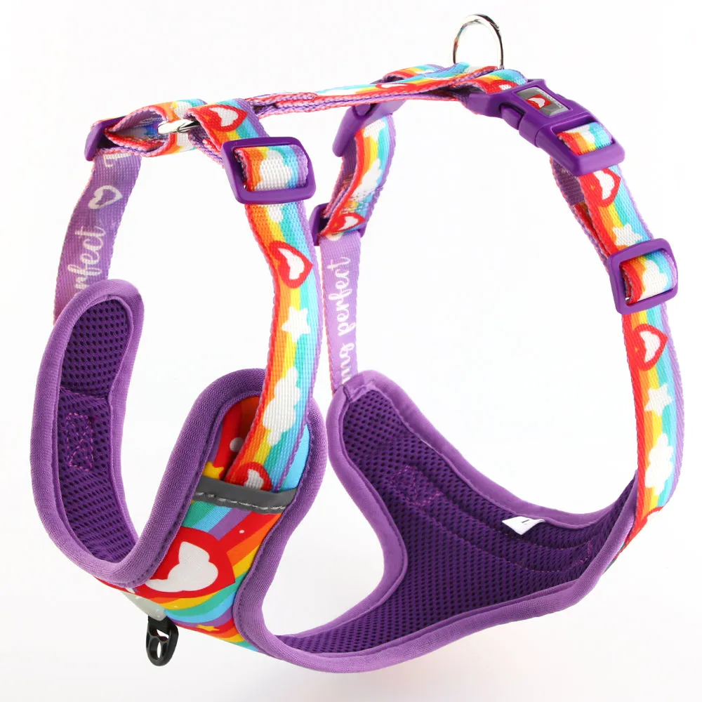 Pride 2024 Mesh Dog Harness | Fluffing Perfect Collection