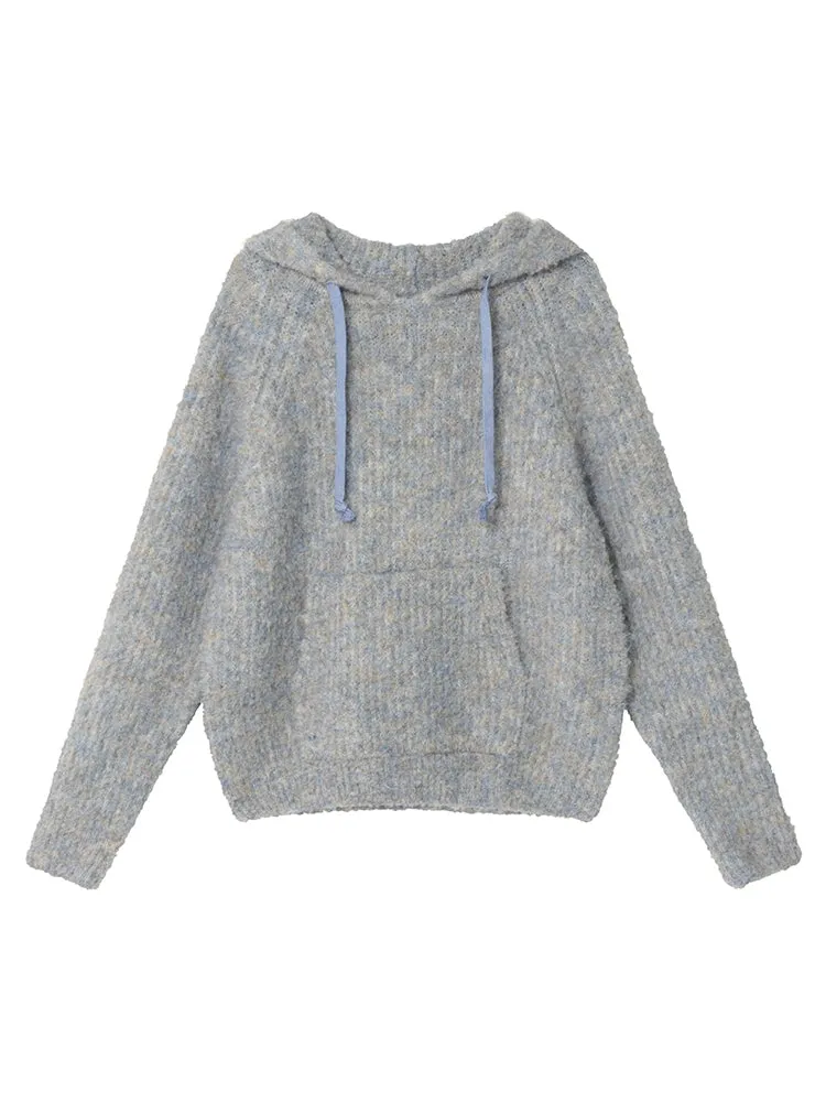 Radiant Raglan Loose Drawstring Pullover Wool Hoodie