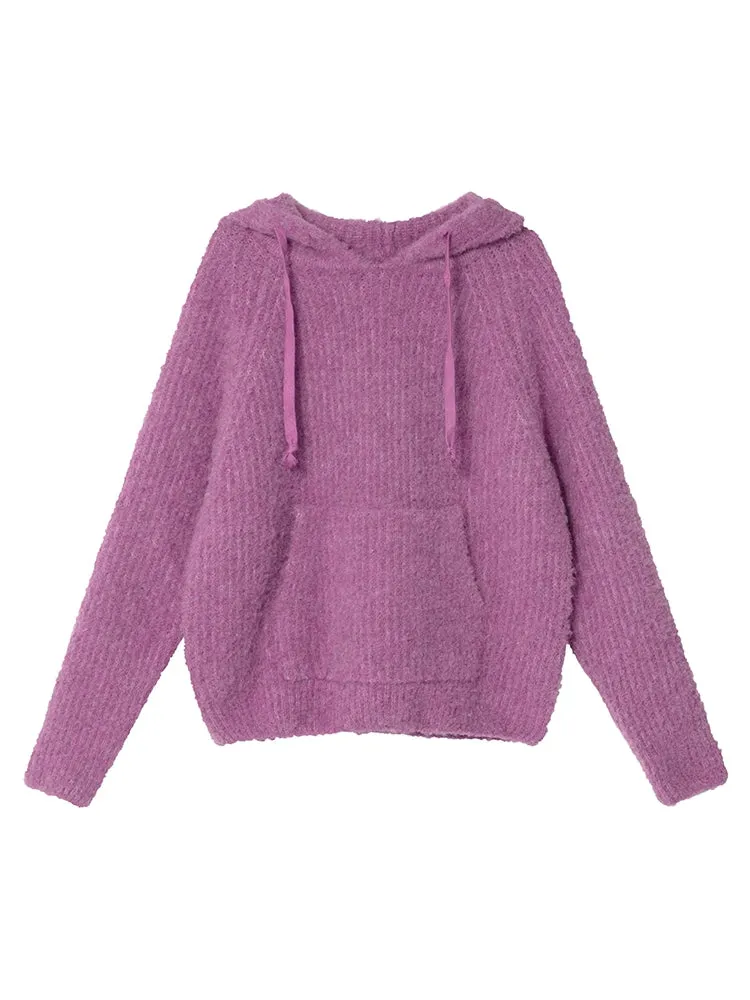 Radiant Raglan Loose Drawstring Pullover Wool Hoodie