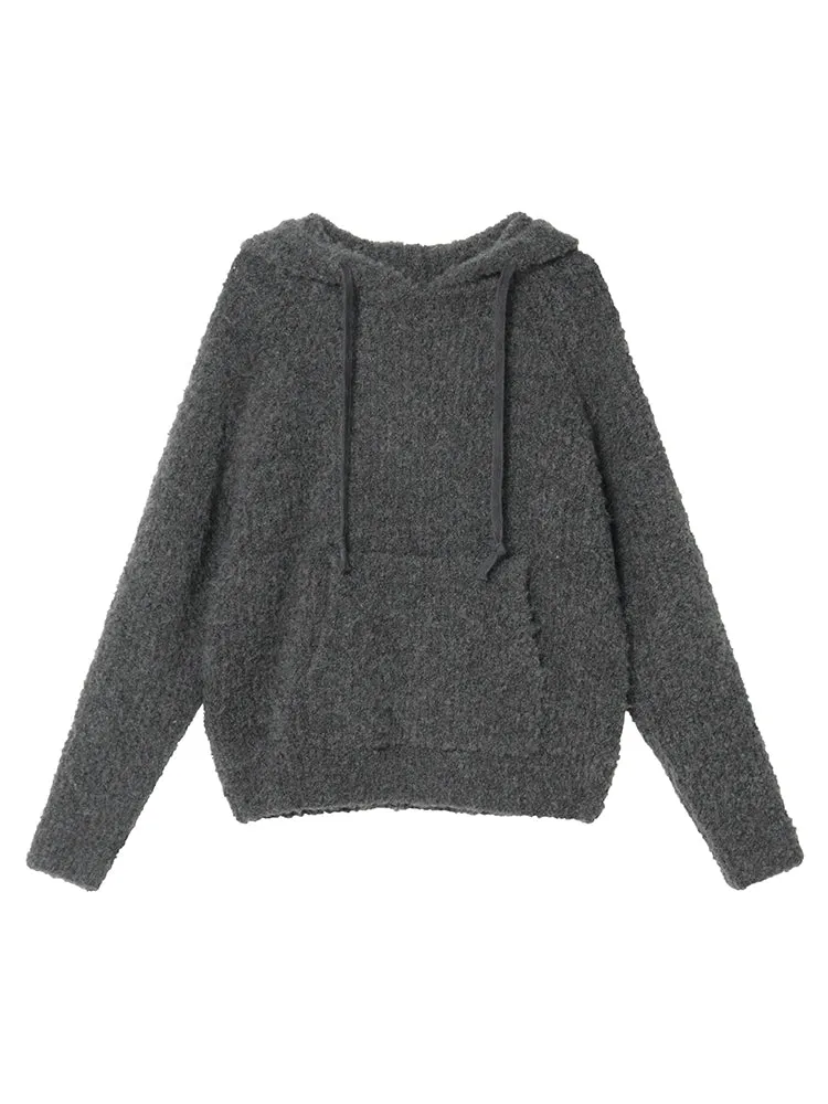 Radiant Raglan Loose Drawstring Pullover Wool Hoodie